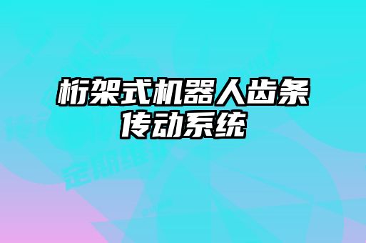 桁架式機(jī)器人齒條傳動系統(tǒng)