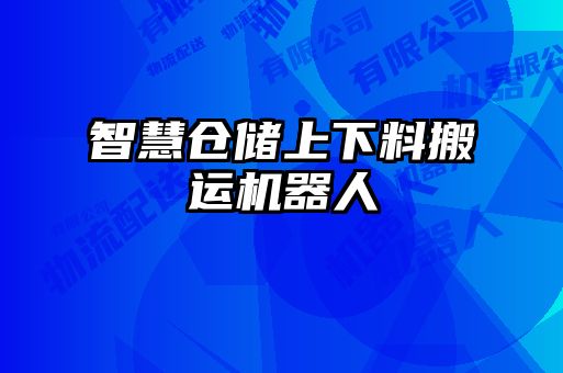 智慧倉(cāng)儲(chǔ)上下料搬運(yùn)機(jī)器人