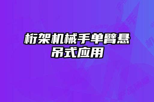 桁架機械手單臂懸吊式應(yīng)用