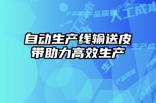 自動(dòng)生產(chǎn)線輸送皮帶助力高效生產(chǎn)