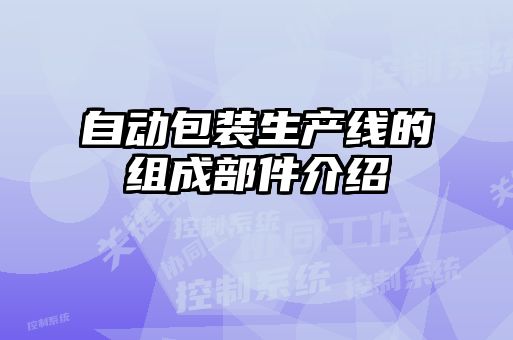 自動包裝生產線的組成部件介紹