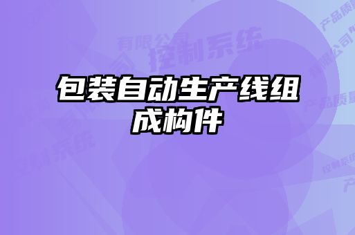 包裝自動生產(chǎn)線組成構件