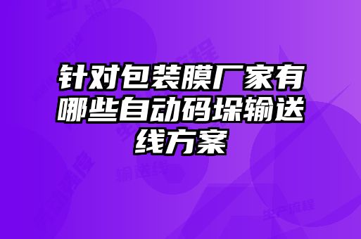 針對包裝膜廠家有哪些自動(dòng)碼垛輸送線方案