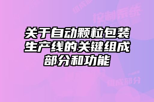 關(guān)于自動(dòng)顆粒包裝生產(chǎn)線的關(guān)鍵組成部分和功能