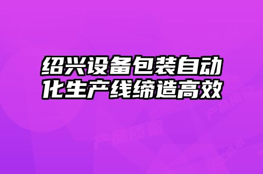 紹興設(shè)備包裝自動(dòng)化生產(chǎn)線(xiàn)締造高效