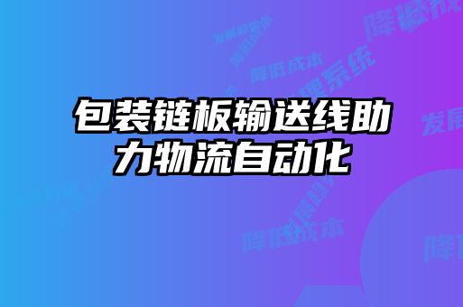 包裝鏈板輸送線助力物流自動(dòng)化