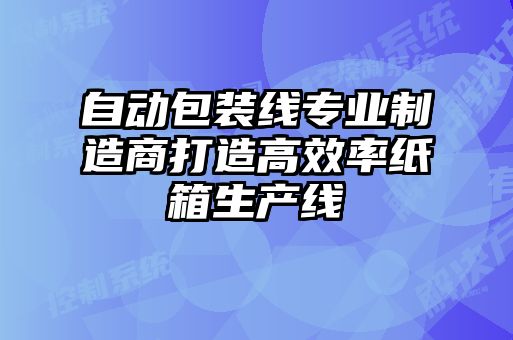 自動包裝線專業(yè)制造商打造高效率紙箱生產線