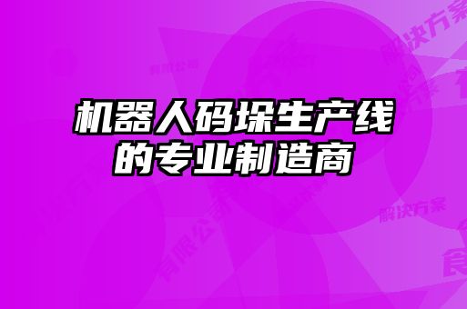 機器人碼垛生產(chǎn)線的專業(yè)制造商
