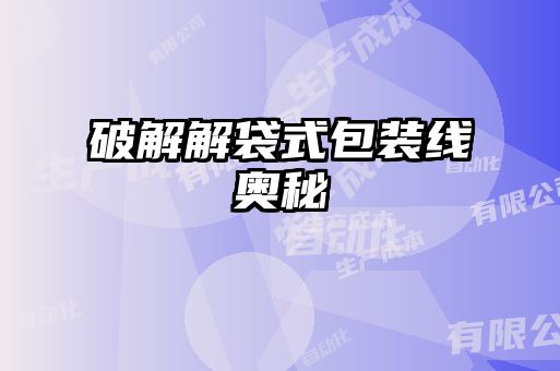 破解解袋式包裝線(xiàn)奧秘