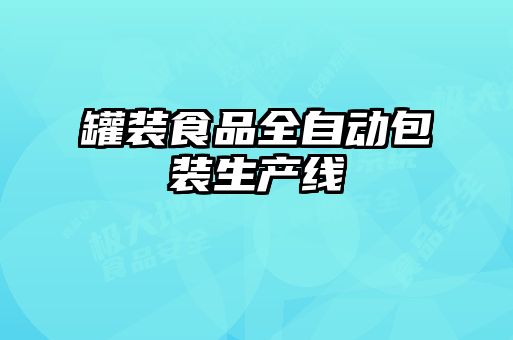 罐裝食品全自動(dòng)包裝生產(chǎn)線
