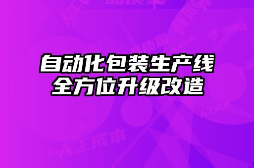 自動(dòng)化包裝生產(chǎn)線全方位升級(jí)改造