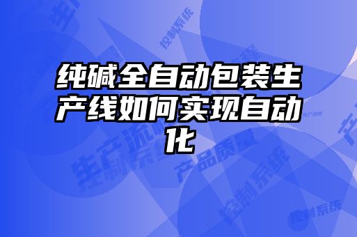 純堿全自動包裝生產線如何實現(xiàn)自動化