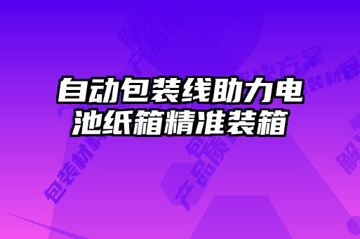 自動包裝線助力電池紙箱精準裝箱