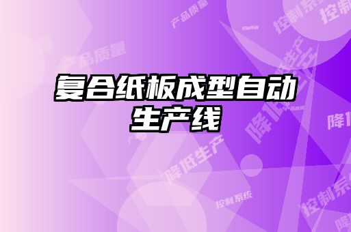 復合紙板成型自動生產(chǎn)線