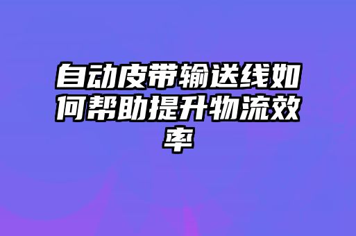 自動(dòng)皮帶輸送線如何幫助提升物流效率