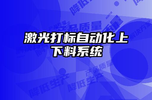激光打標(biāo)自動(dòng)化上下料系統(tǒng)