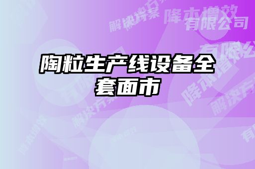 陶粒生產(chǎn)線設(shè)備全套面市