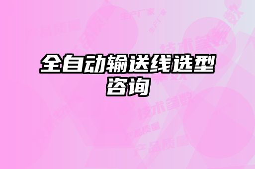 全自動(dòng)輸送線選型咨詢