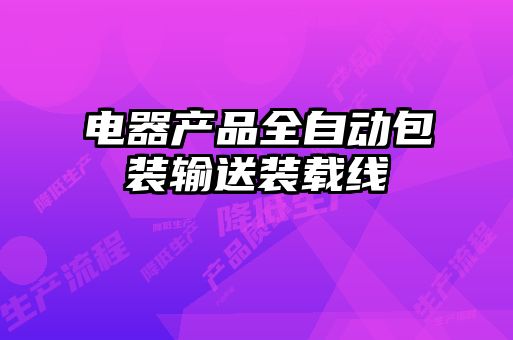 電器產(chǎn)品全自動(dòng)包裝輸送裝載線